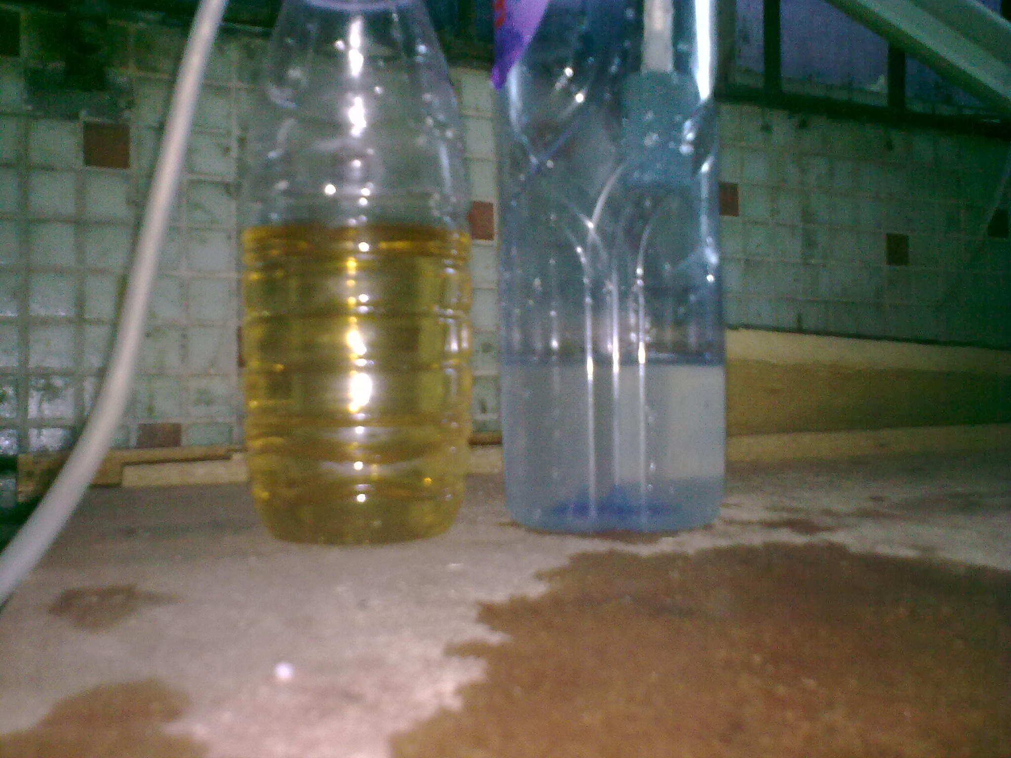1605172274803019.jpg