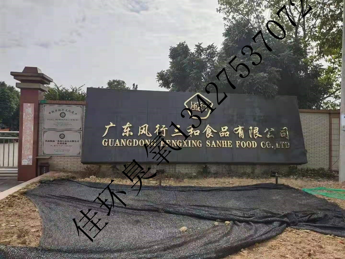 1609918728742204.jpg