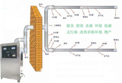 1616981434976363.png image.png