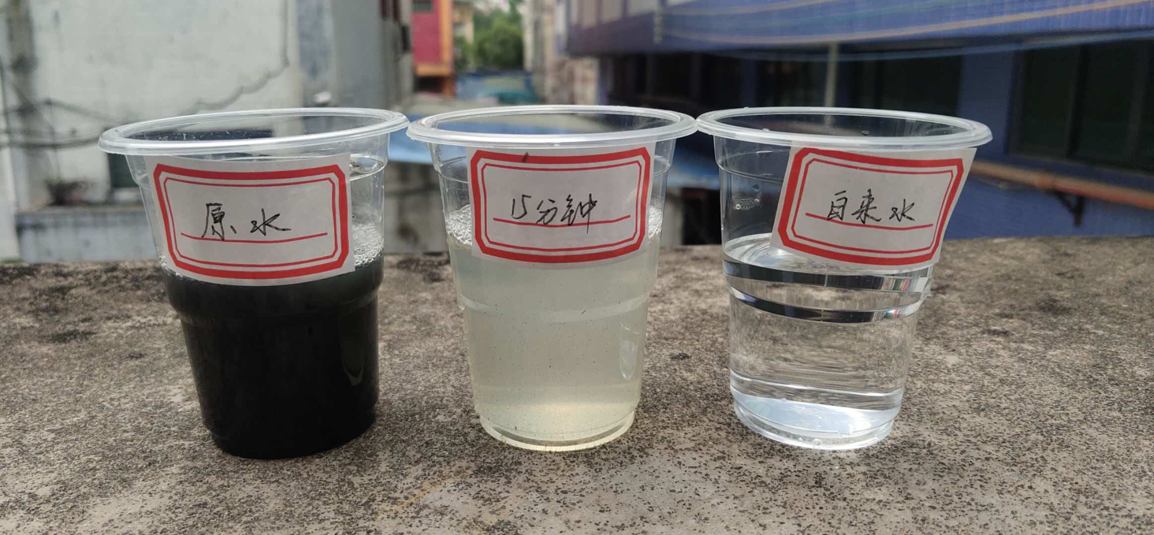 1635988432721316.jpg