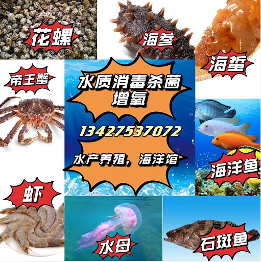 1645062584667097.png image.png