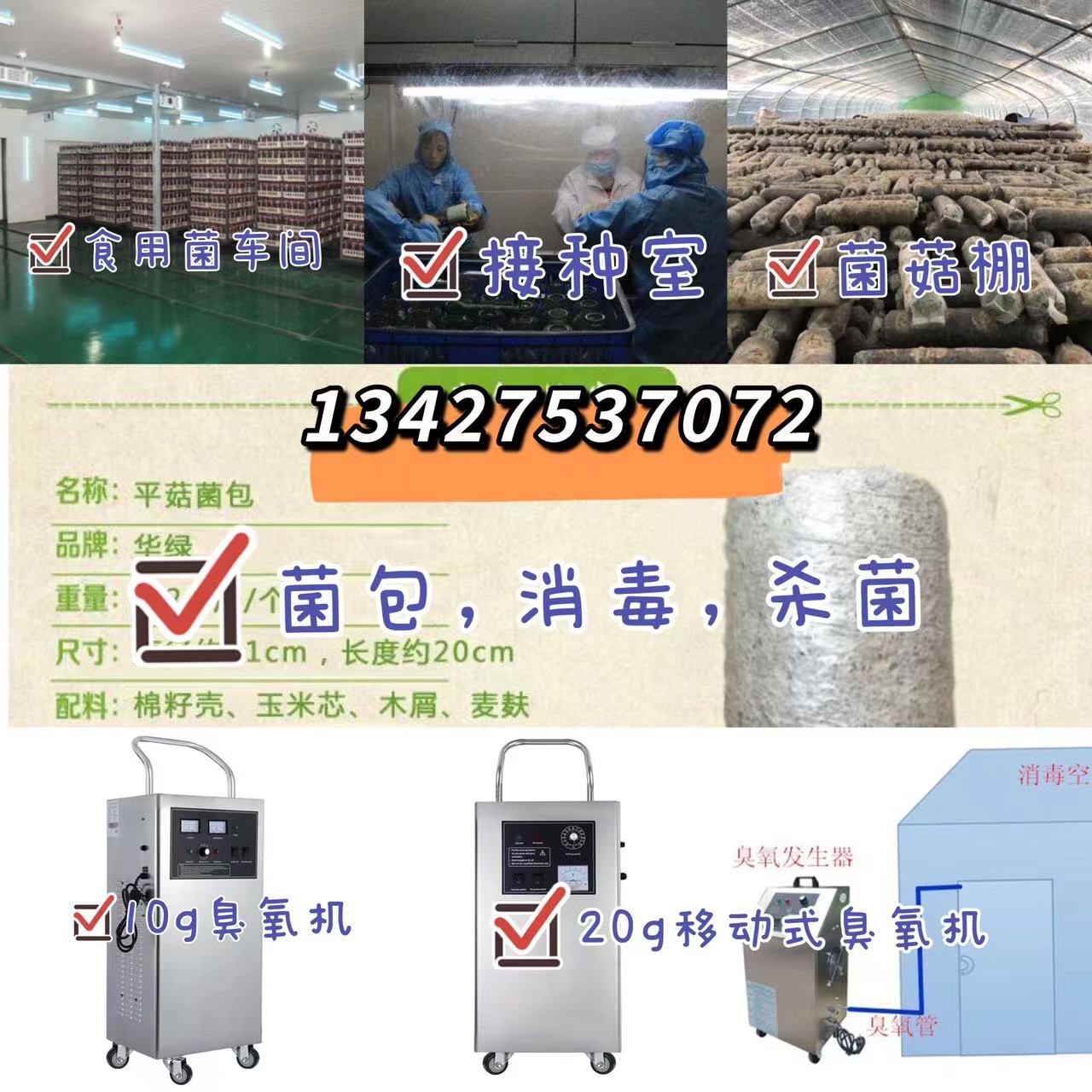 1645064120444543.jpg 廣告食用菌.jpg
